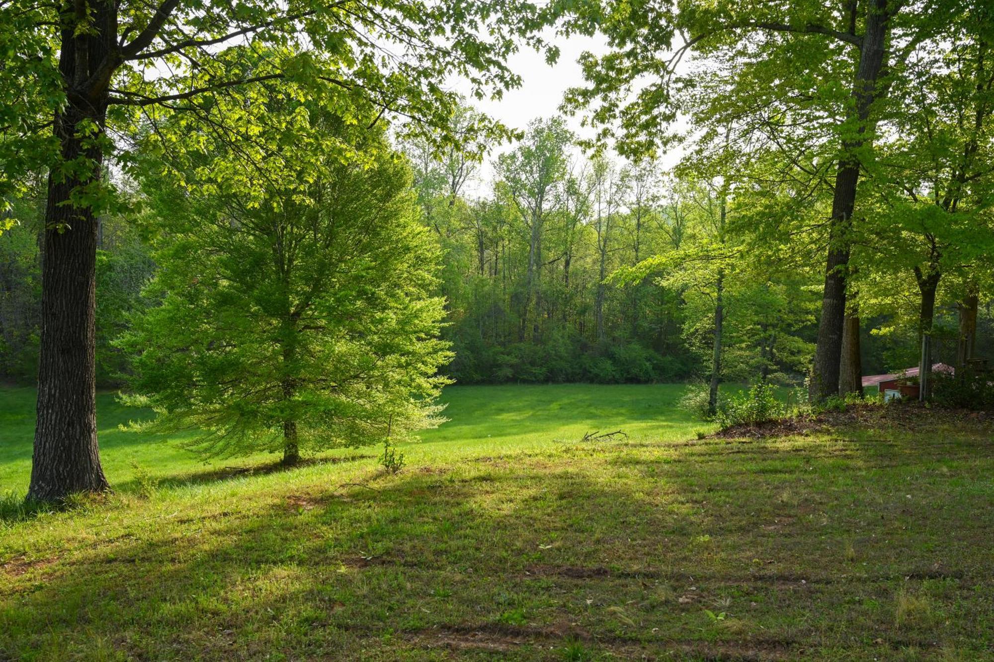 Southern Home And Fishing Lake. غينسفيل المظهر الخارجي الصورة